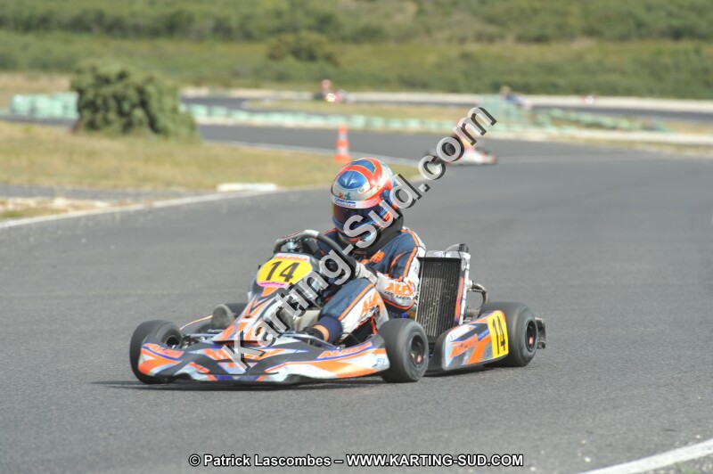 DSC (3686).JPG